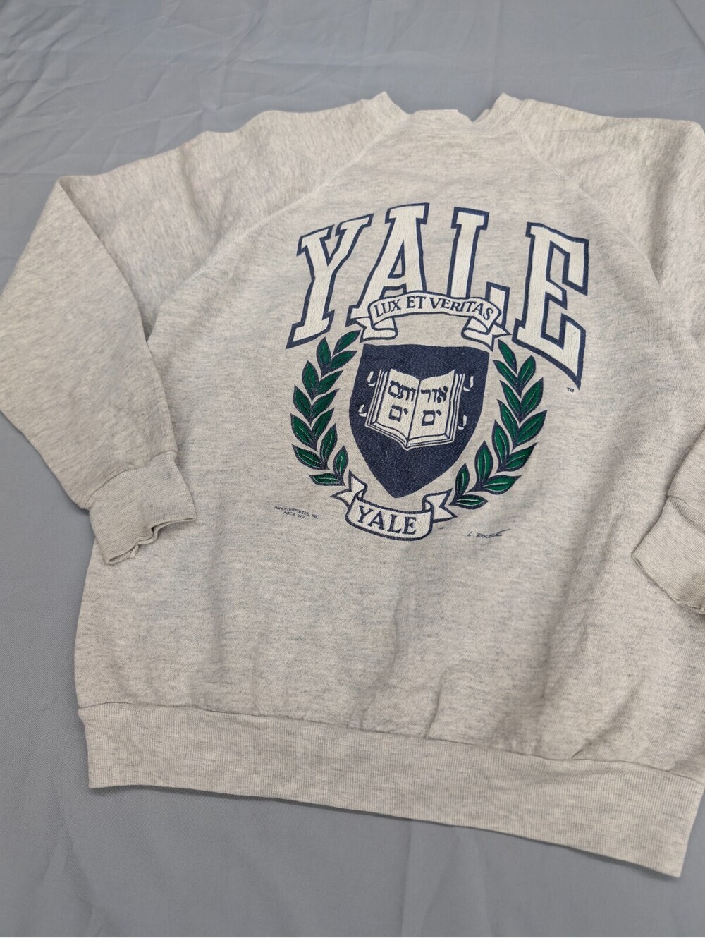 Vintage Yale University Tultex Sweatshirt XL Grey USA Made